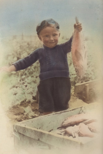 "Young Master Pockley"